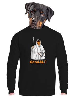 unisex crewneck