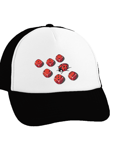 Álca teherautós sapka Black cap