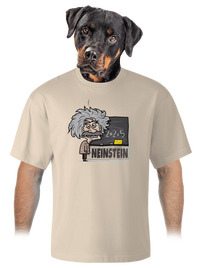 unisex túlméretezett póló