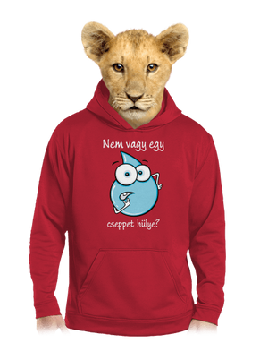 Nem vagy egy cseppet hülye? gyerek kenguruzsebes pulóver Fire Red