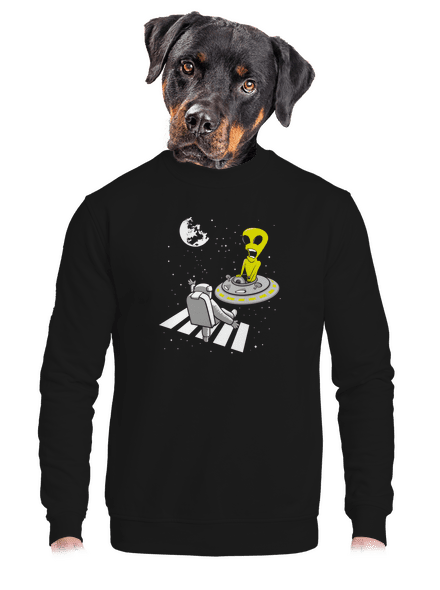 UFO crosswalk unisex crewneck Black
