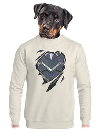 unisex crewneck