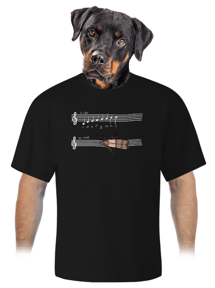 A - moll unisex túlméretezett póló Black