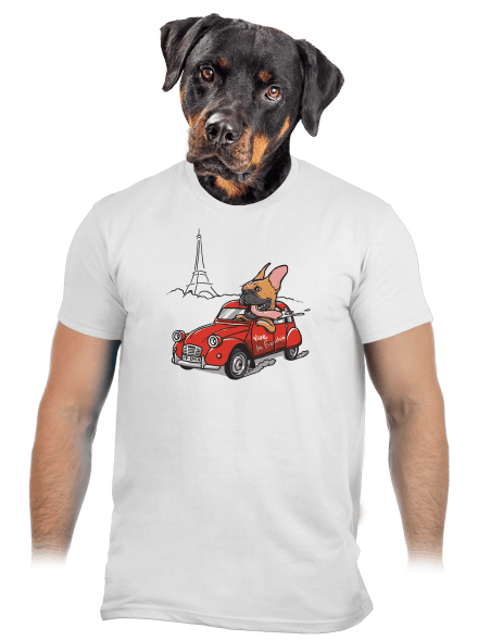 Francia buldog férfi póló White