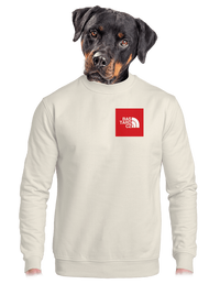 unisex crewneck