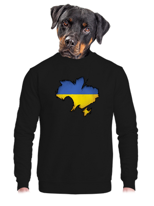  unisex crewneck Black