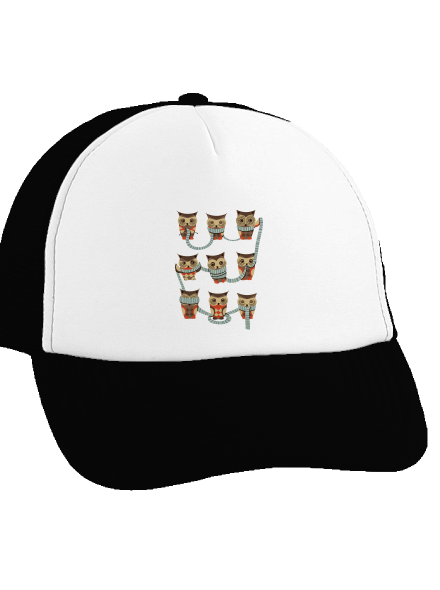 Baglyok teherautós sapka Black cap