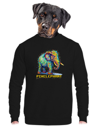 unisex crewneck
