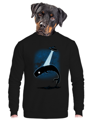 Big fish unisex crewneck Black