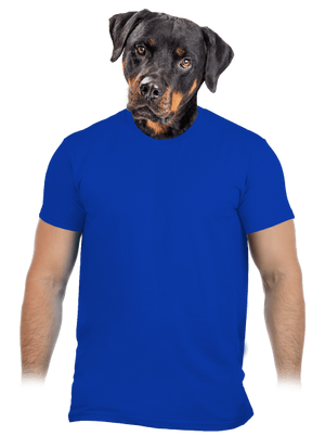 Szuperhős vagyok férfi póló Royal Blue