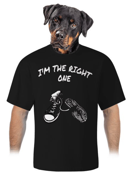 Keresem a megfelelőt unisex túlméretezett póló Black