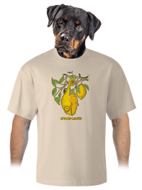 unisex túlméretezett póló