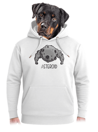 unisex prémium pulóver