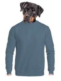 unisex crewneck