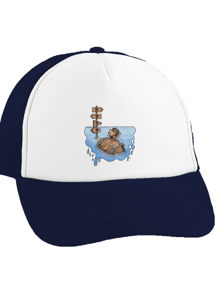Kitaszított teherautós sapka French Navy cap