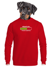 unisex crewneck