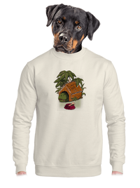 unisex crewneck