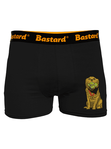 Arany retriever boxeralsó Black