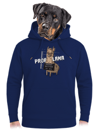 unisex prémium pulóver
