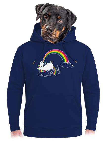 A szivárvány titka unisex prémium pulóver Navy