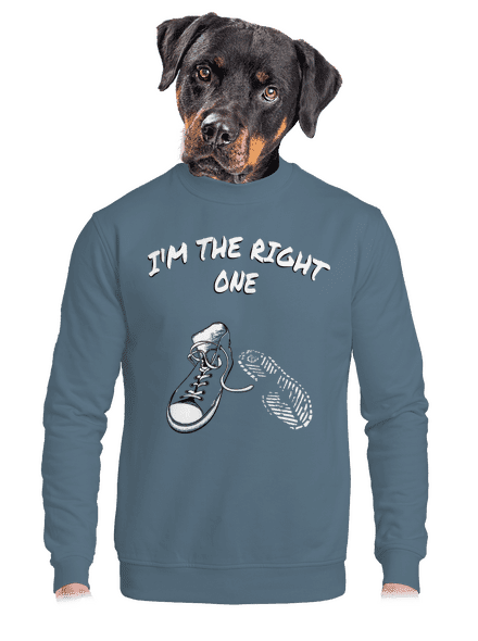 Keresem a megfelelőt unisex crewneck Nordic Blue