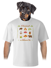 unisex túlméretezett póló