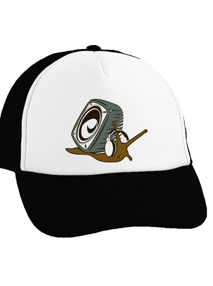 Házibuli teherautós sapka Black cap