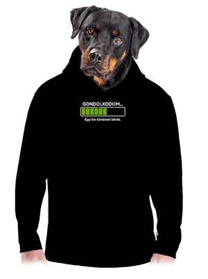 férfi kenguruzsebes pulóver