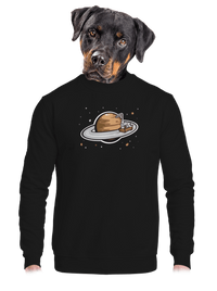 unisex crewneck