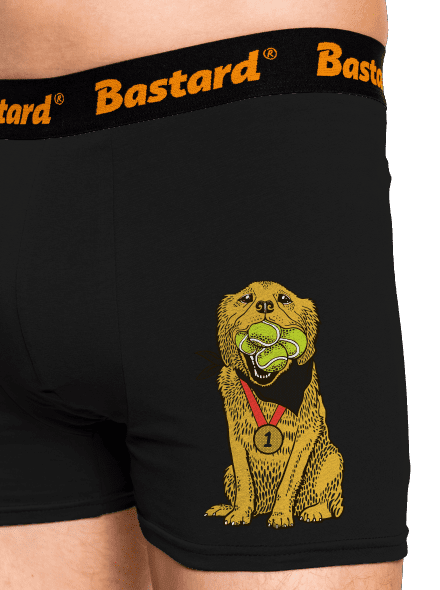 Arany retriever boxeralsó Black