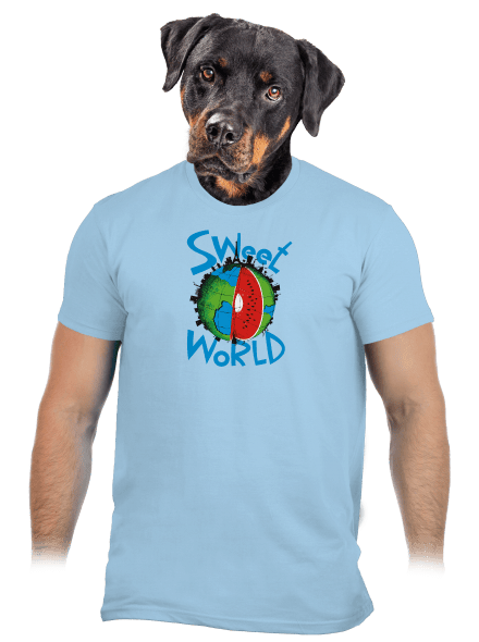 Sweet world férfi póló Sky Blue