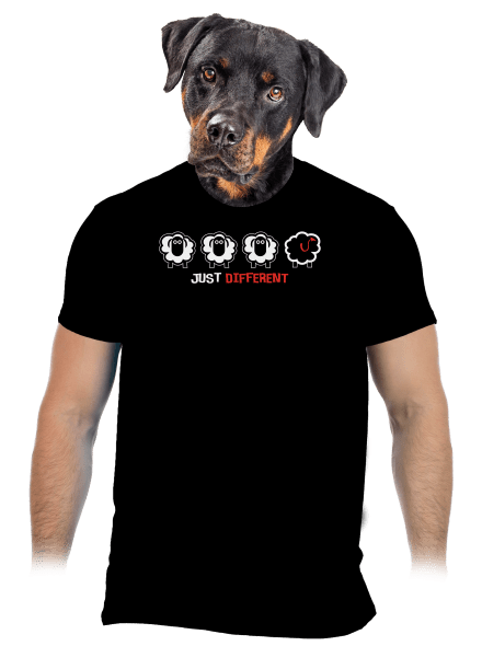 Fekete bárány férfi póló Black