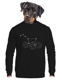 unisex crewneck
