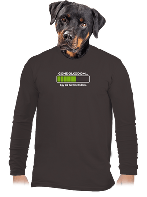 Gondolkodom férfi hosszú ujjú póló Bear Brown