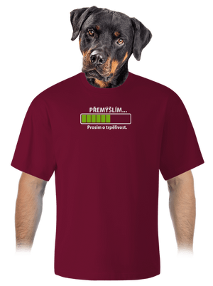 unisex túlméretezett póló