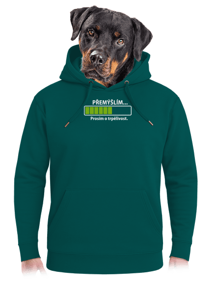 Gondolkodom unisex prémium pulóver Emerald Green