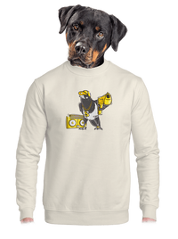 unisex crewneck