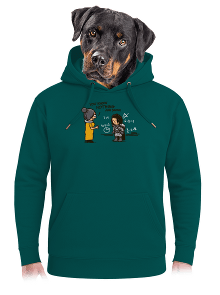 You know nothing unisex prémium pulóver Emerald Green