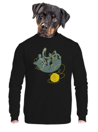 unisex crewneck