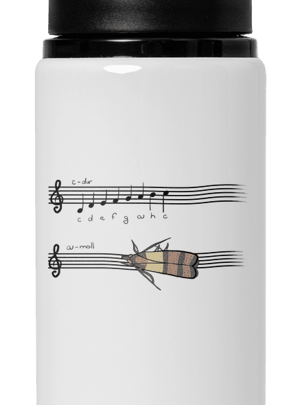 A - moll kulacs White