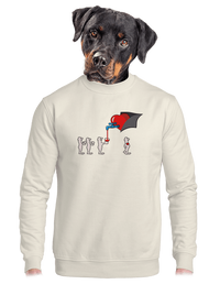 unisex crewneck