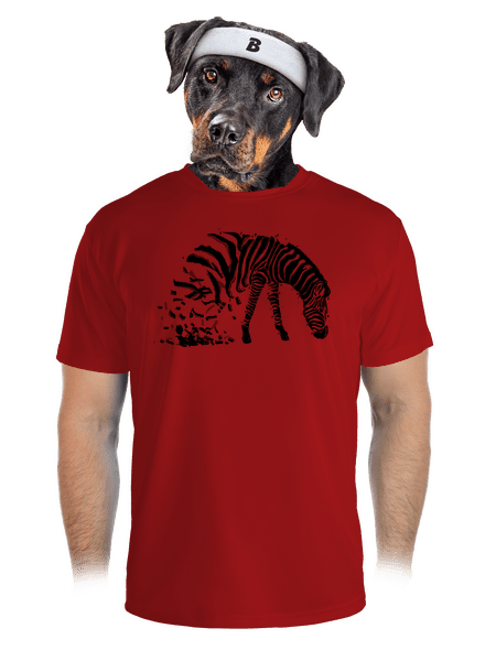Zebra szerelem férfi sportpóló Red Mal