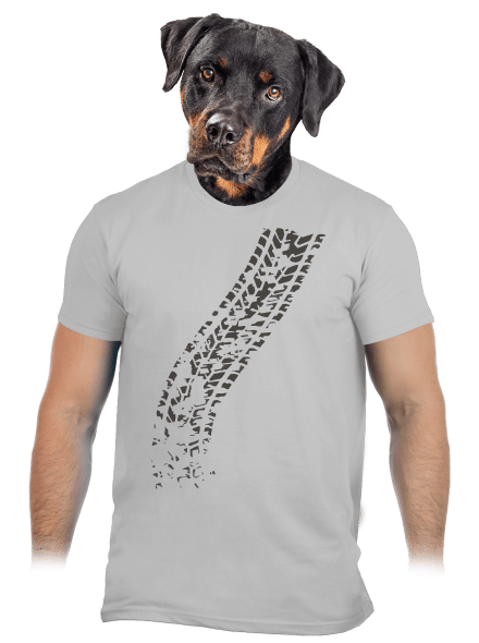 Átgázol férfi póló Pacific Grey