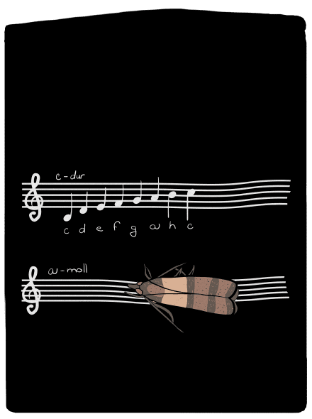 A - moll cipzáras női pulóver Black