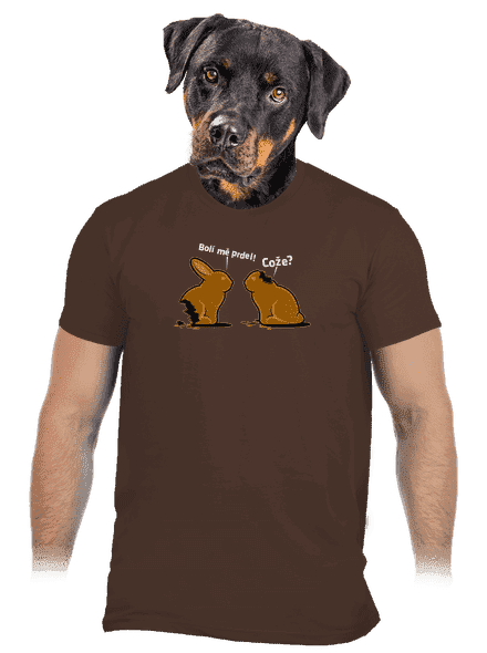 Fáj a seggem! férfi póló Brown