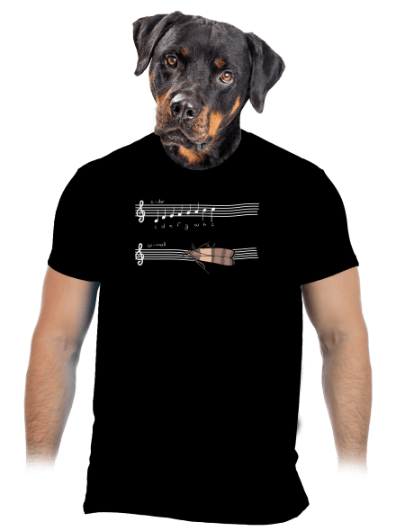 A - moll férfi póló Black