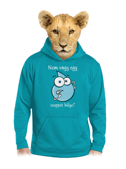 Nem vagy egy cseppet hülye? gyerek kenguruzsebes pulóver Hawaiian Blue