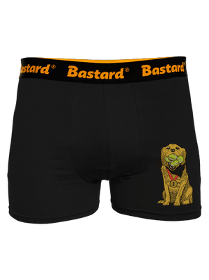 Arany retriever boxeralsó Black