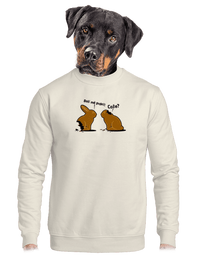 unisex crewneck