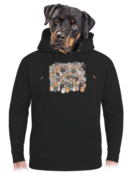 Találd meg az ördögöt unisex prémium pulóver Dark Black